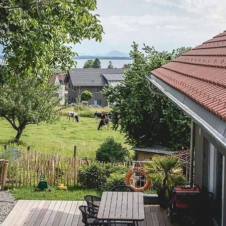 Mrowka Apartment