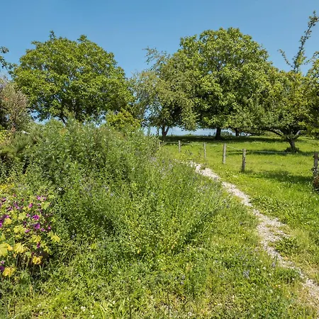 Mrowka Апартаменты Линдау