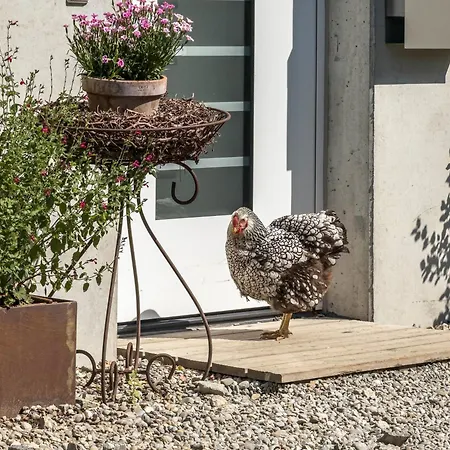 Appartement Mrowka Lindau (Bodensee)